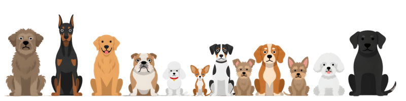 Cartoon dogs illustration